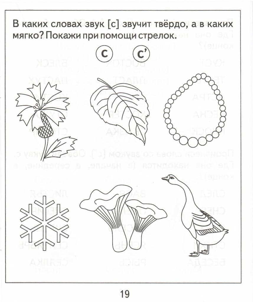 Логопедическая тетрадь на звуки [С], [С’]
