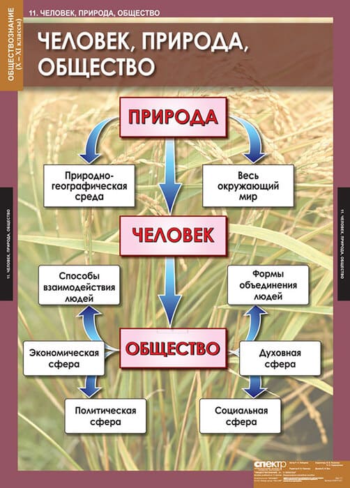 Комплект таблиц "Обществознание 10-11 класс" (11 шт., 68х98см)