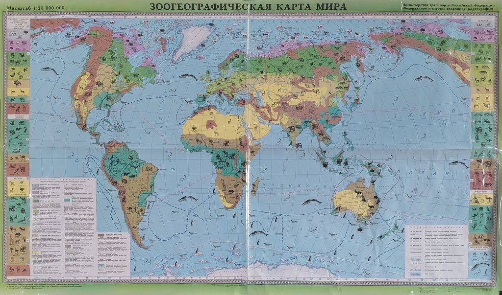 Зоогеографическая карта мира (114х191см, лам.)