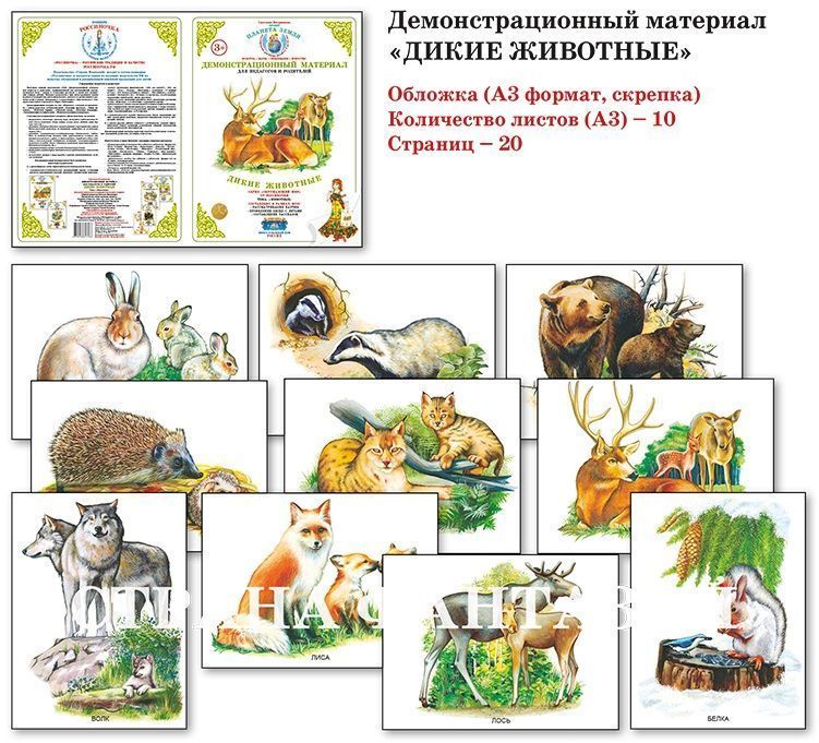 Демонстрационный материал "Дикие животные" 