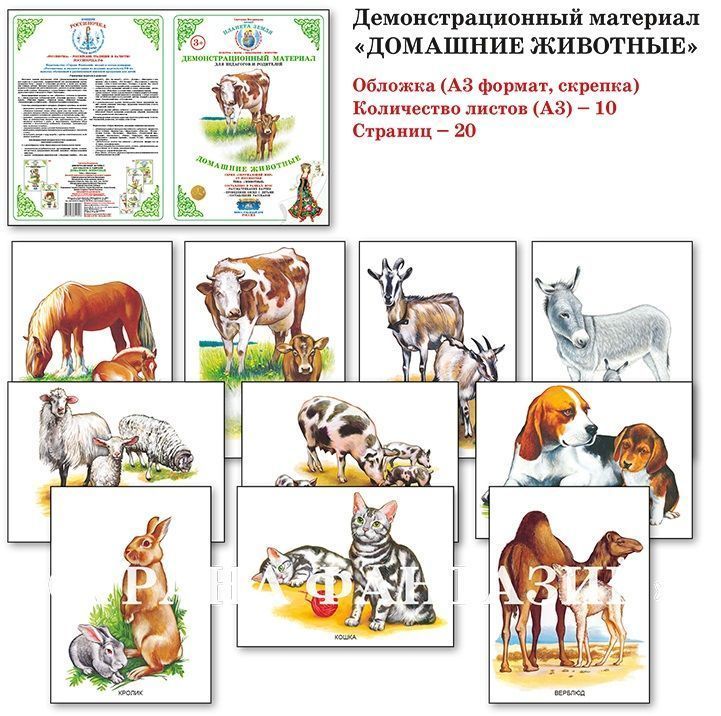 Демонстрационный материал "Домашние животные" 