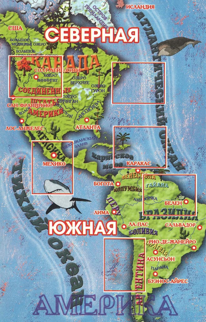 Развивающая игра "Обитатели континентов"