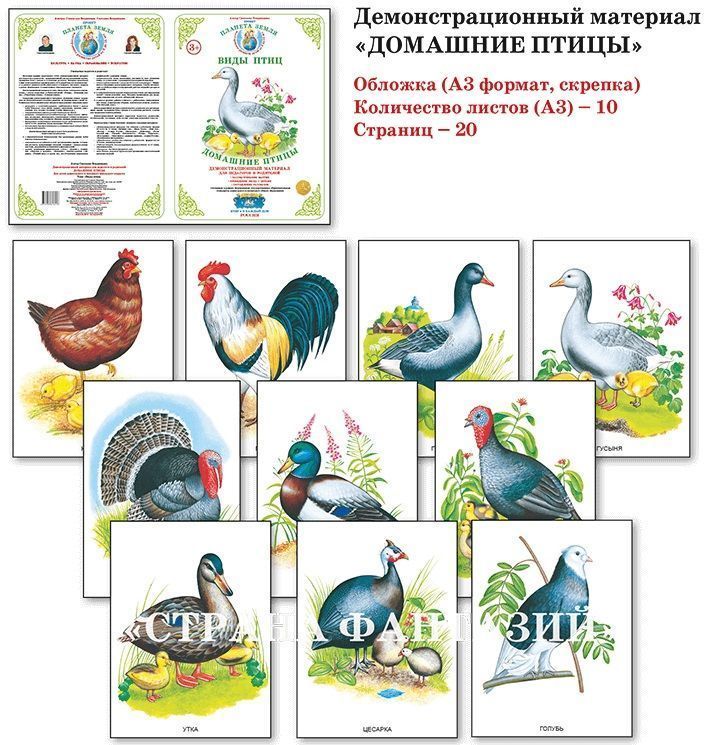Демонстрационный материал "Домашние птицы" 