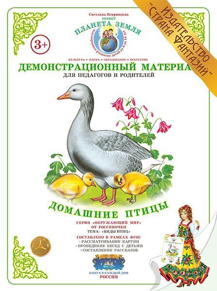 Демонстрационный материал "Домашние птицы" 