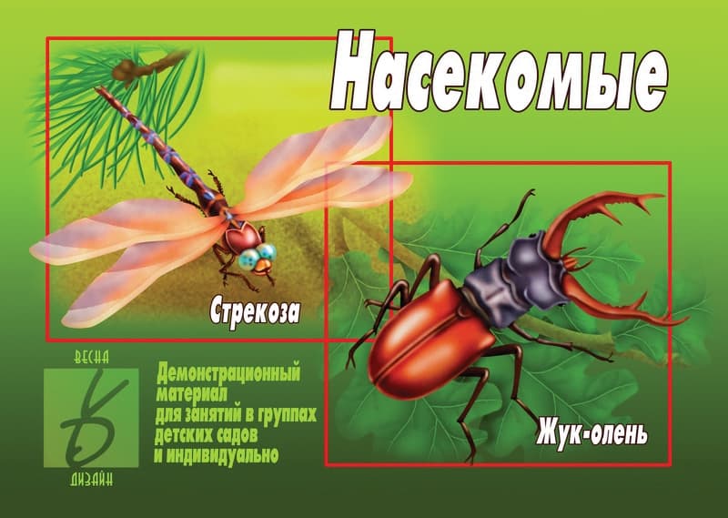 Демонстрационный материал "Насекомые"