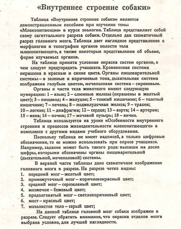 Таблица учебная "Внутреннее строение собаки" (40х60см, картон)
