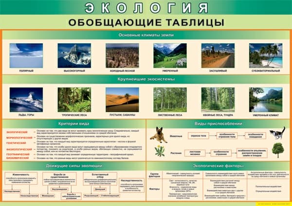 Комплект таблиц "Экология" (9 шт., 70х100см, винил)