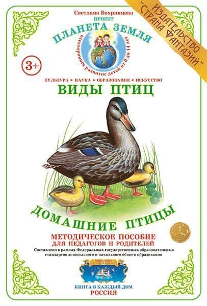 Дидактический материал "Домашние птицы"
