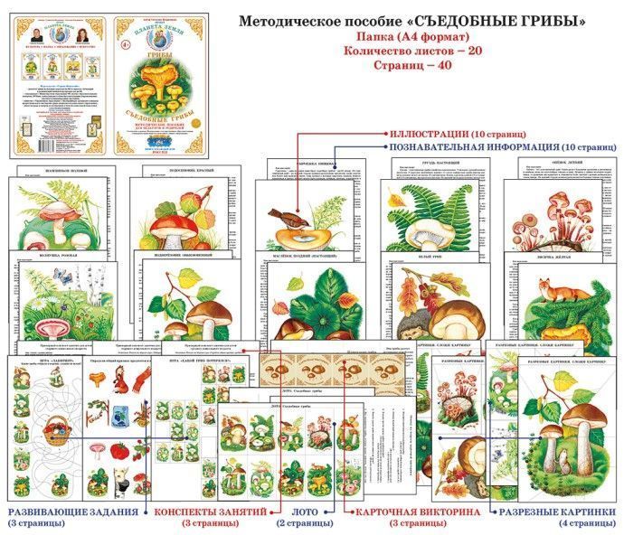 Дидактический материал "Съедобные грибы"