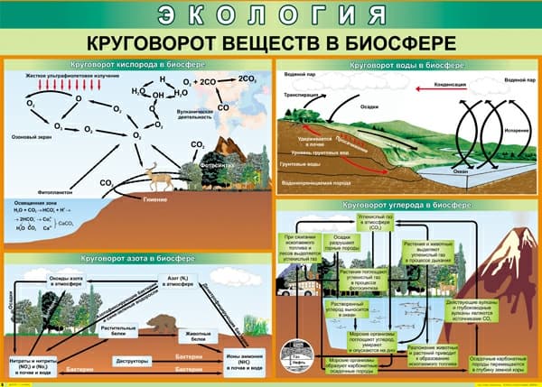 Комплект таблиц "Экология" (9 шт., 70х100см, винил)