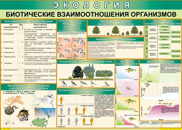 Комплект таблиц "Экология" (9 шт., 70х100см, винил)