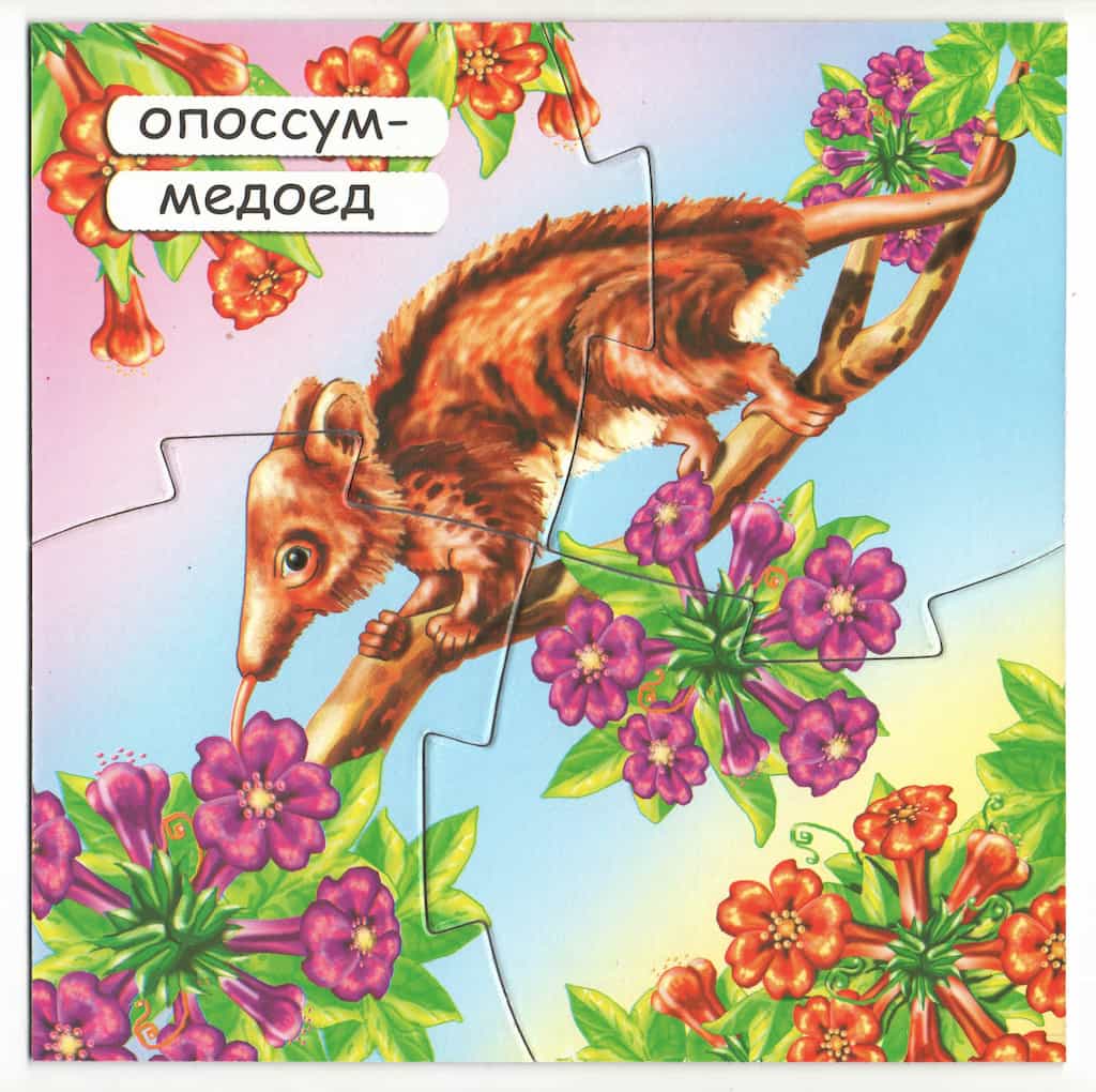 Игра-занятие "Нектаринка"