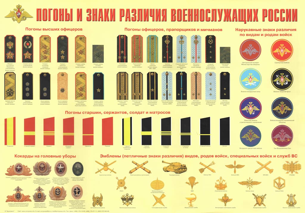 Плакат "Погоны и знаки различия военнослужащих России" (1 шт., А2)
