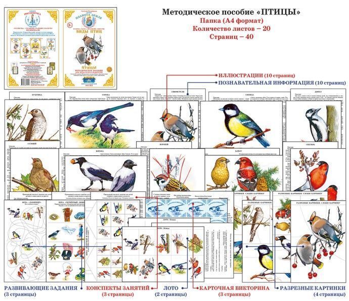 Дидактический материал "Птицы" 