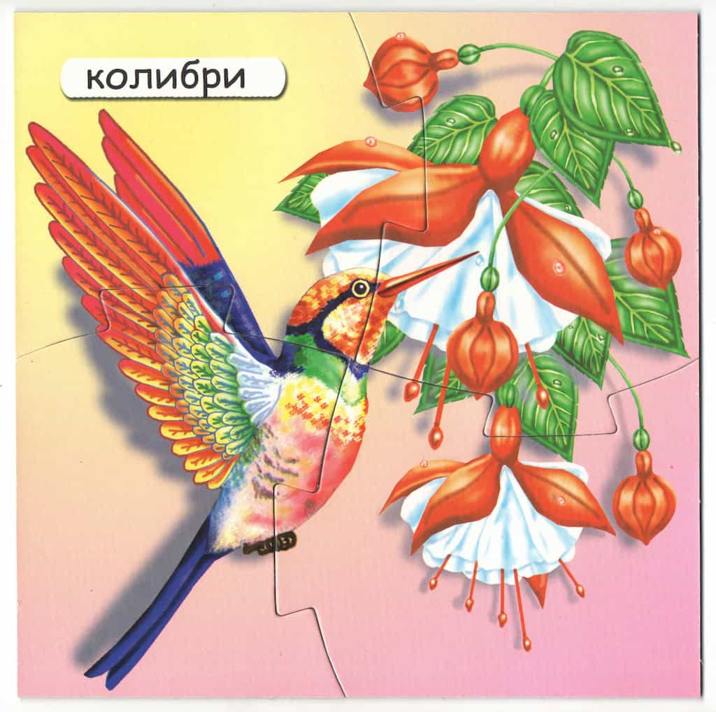 Игра-занятие "Нектаринка"