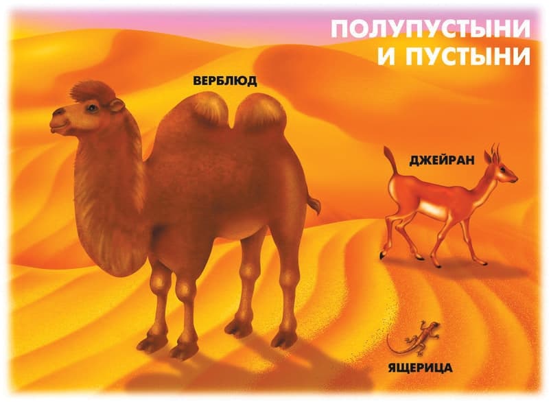Демонстрационный материал "Природно-климатические зоны Земли"
