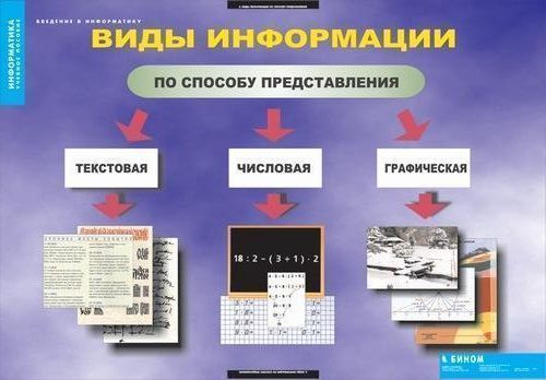 Комплект таблиц "Введение в информатику" (12 шт., 68х98см)