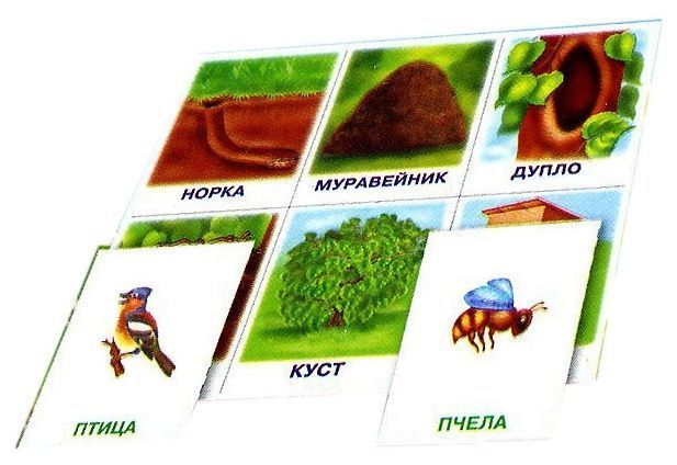 Настольная игра "Кто где живет?"