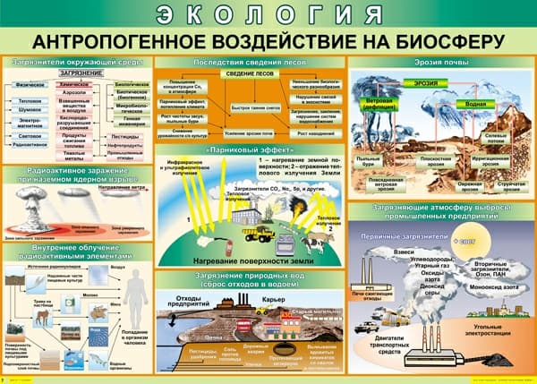 Комплект таблиц "Экология" (9 шт., 70х100см, винил)