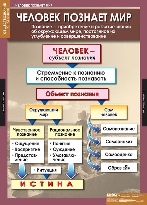 Комплект таблиц "Обществознание 10-11 класс" (11 шт., 68х98см)