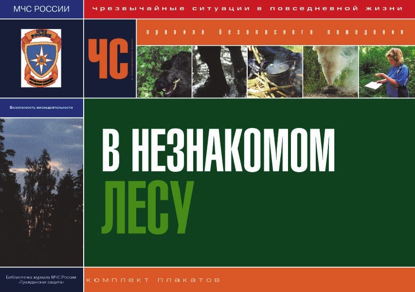 Комплект плакатов "В незнакомом лесу" (11 шт., А3)