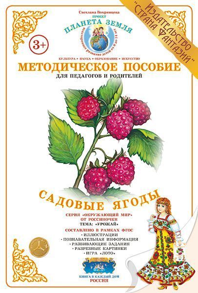 Дидактический материал "Садовые ягоды"