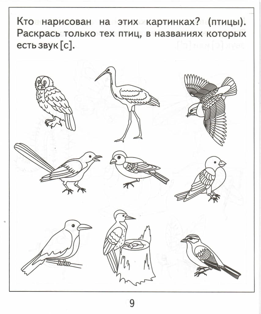 Логопедическая тетрадь на звуки [С], [С’]