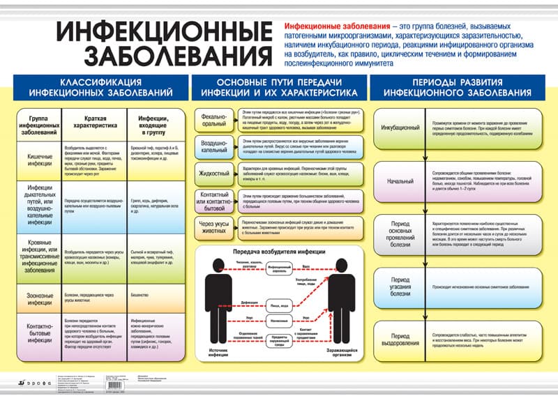 Плакат двухсторонний "Инфекционные заболевания / Личная гигиена" (100х140см, лам.)