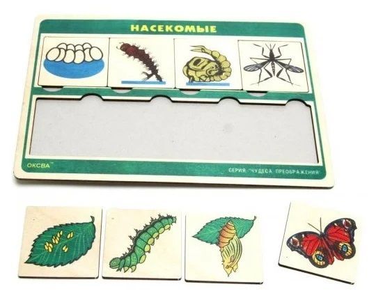 Развивающая игра "Насекомые" серия "Чудеса преображения"