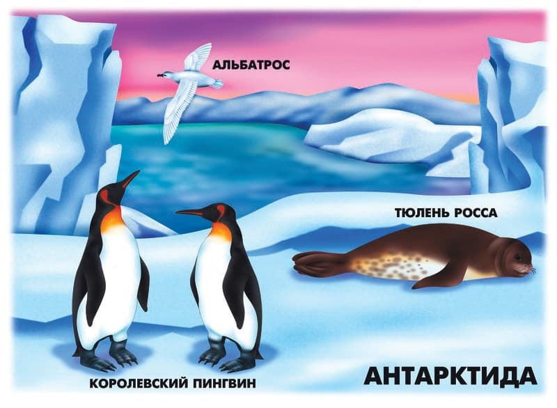 Демонстрационный материал "Природно-климатические зоны Земли"