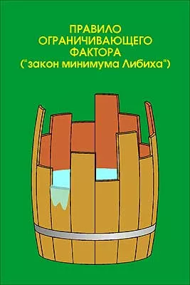 Слайд-альбом "Экология" (100 слайдов + методичка)