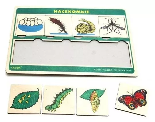 Развивающая игра "Насекомые" серия "Чудеса преображения"