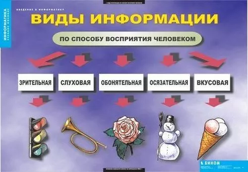 Комплект таблиц "Введение в информатику" (12 шт., 68х98см)