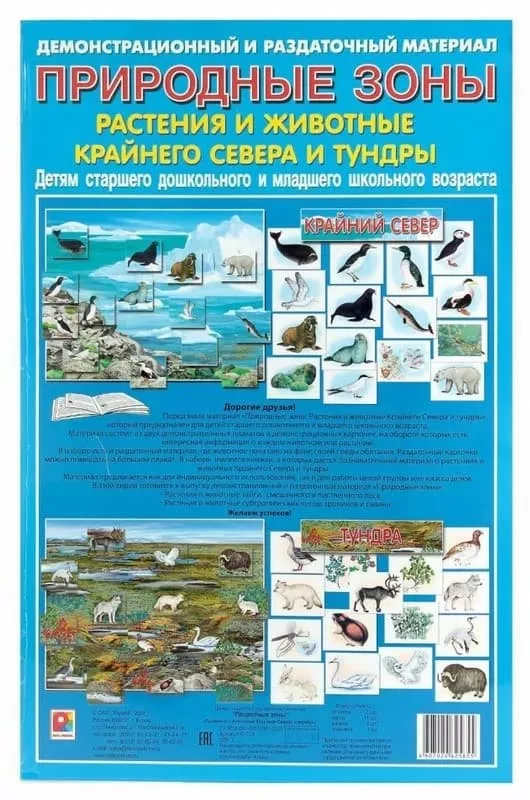 Демонстрационный и раздаточный материал "Природные зоны. Растен. и животн. крайнего севера и тундры"