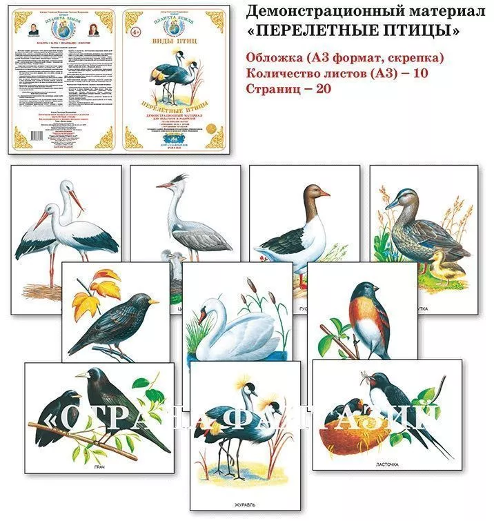 Демонстрационный материал "Перелетные птицы" 