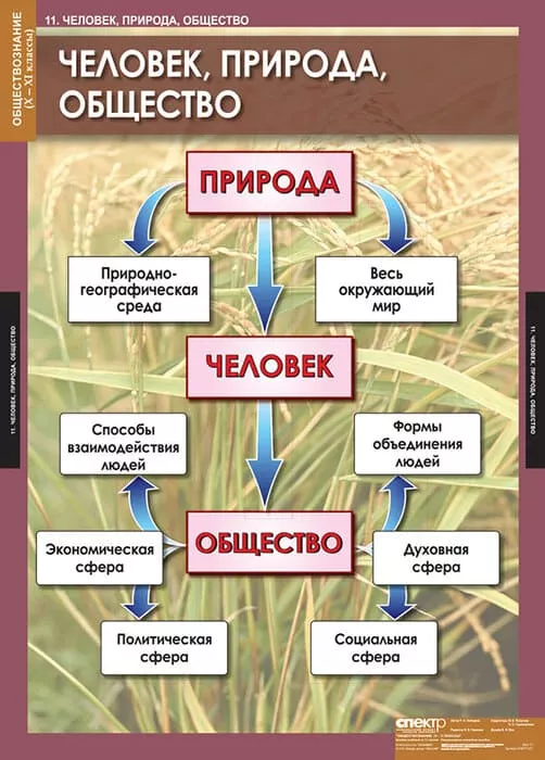 Комплект таблиц "Обществознание 10-11 класс" (11 шт., 68х98см)