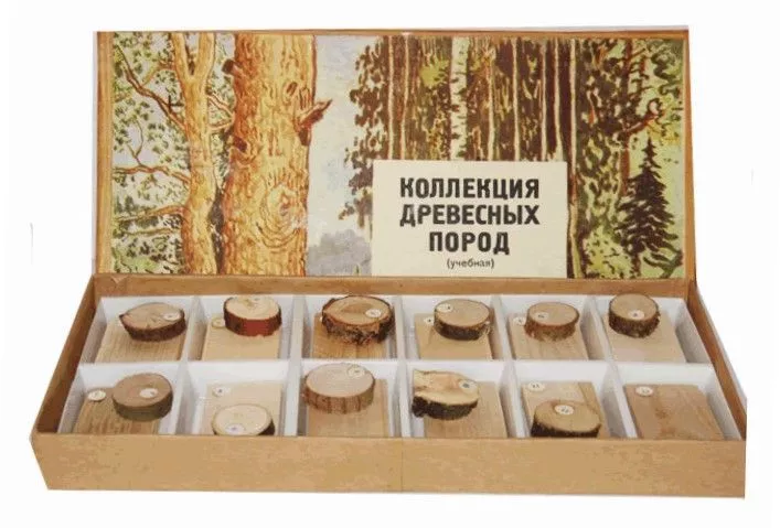 Коллекция "Древесные породы"